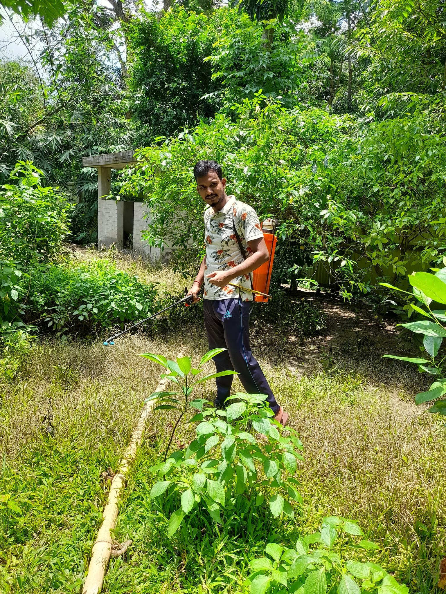 Mosquito Control Program by the SYDS