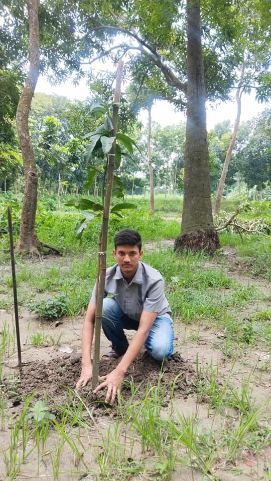 Tree Plantation Campaign by the SYDS